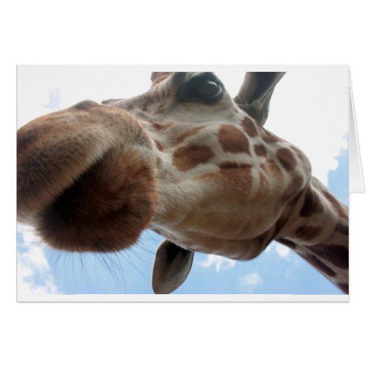 Extreme Giraffe Cards (Front Horizontal)