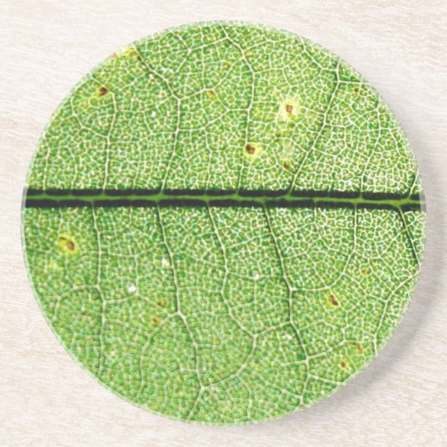 Extreme Green Leaf Drink Coaster (Front)