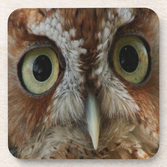 Extreme Owl Beverage Coaster (Front)