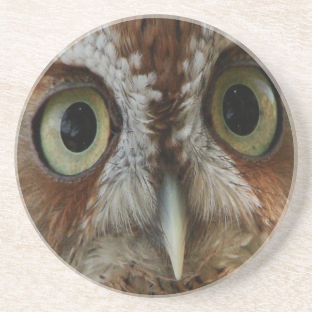 Extreme Owl Drink Coaster (Front)