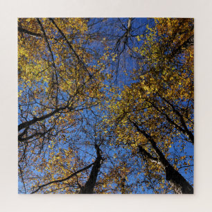 Extremely Challenging Nature Puzzles For Adults