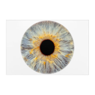 Eye Acrylic Print