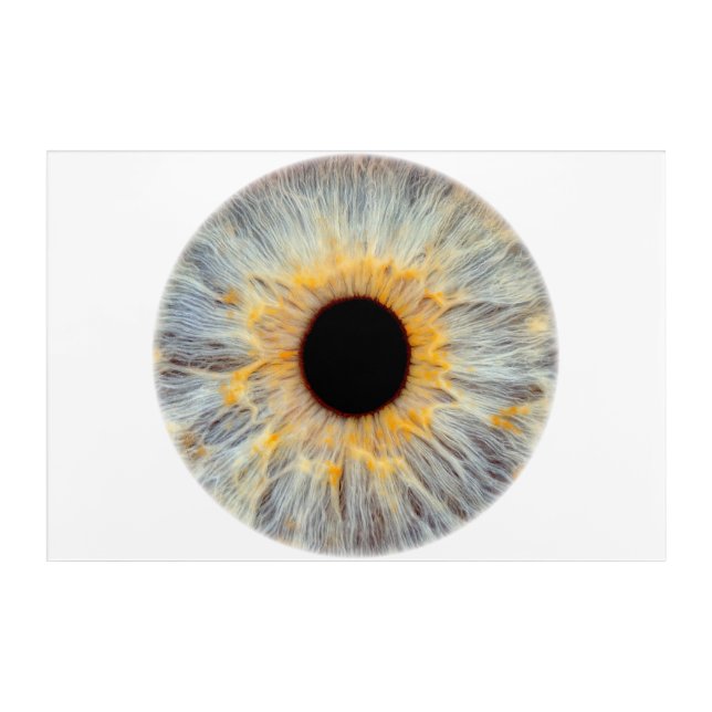 Eye Acrylic Print (Front)