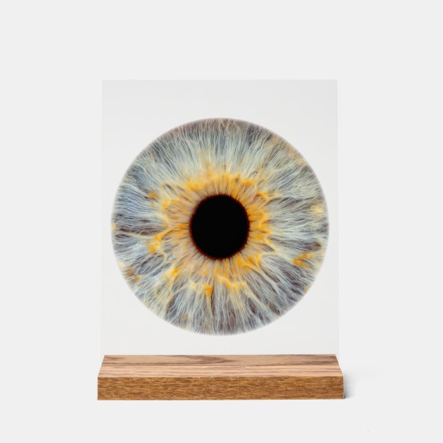 Eye Acrylic Sign (Front)