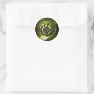 Eye Ball Garden Plant Classic Round Sticker