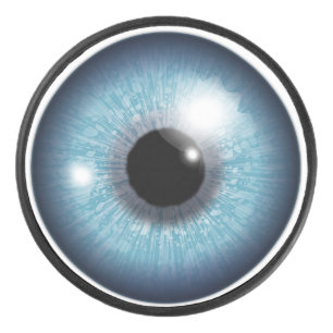 Eye Ball Hockey Puck