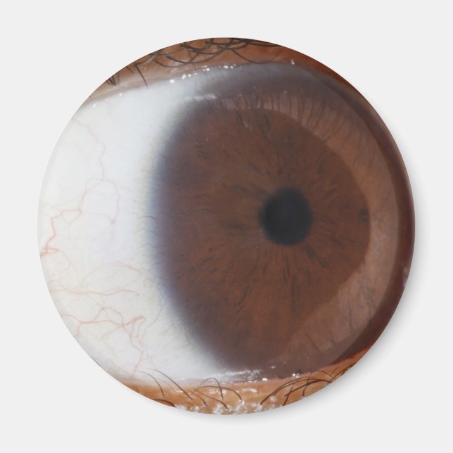 Eye Ball Magnet (Front)