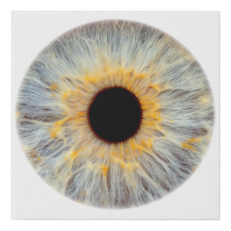 Eye Canvas