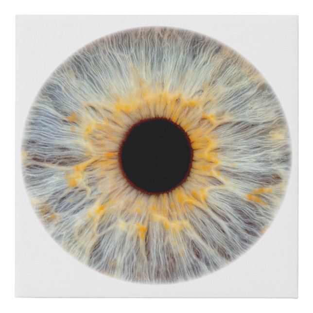 Eye Canvas (Front)