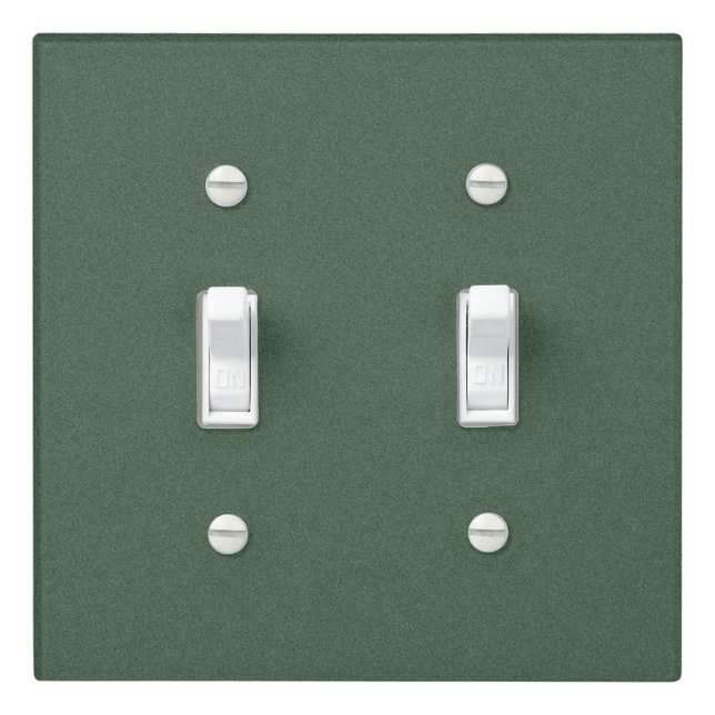 Eye-catching Green Texture Double Toggle Light Switch Cover (In Situ)