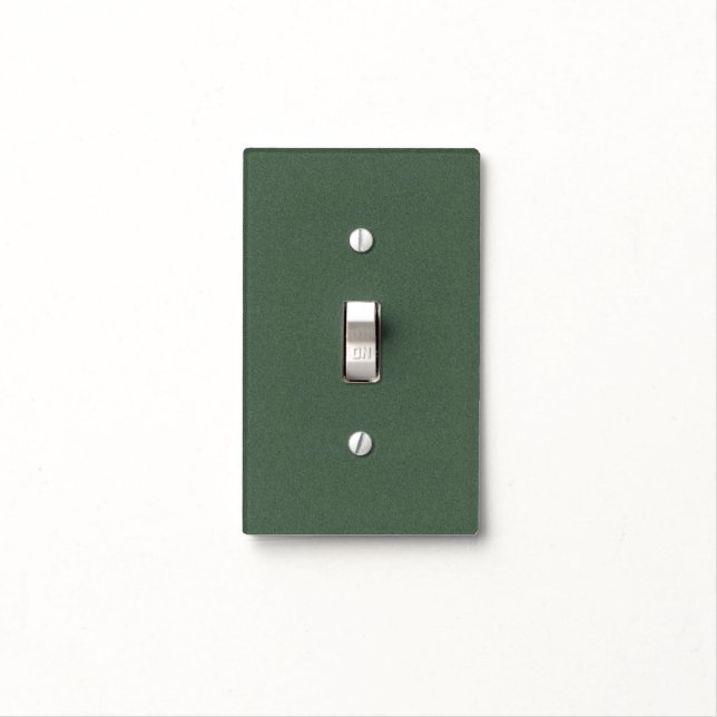 Eye-catching Green Texture Single Toggle Light Switch Cover (In Situ)