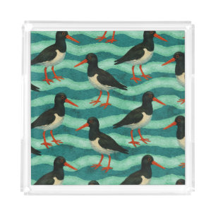 Eye Catching Oyster Catcher Acrylic Tray