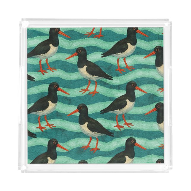 Eye Catching Oyster Catcher Acrylic Tray (Front)