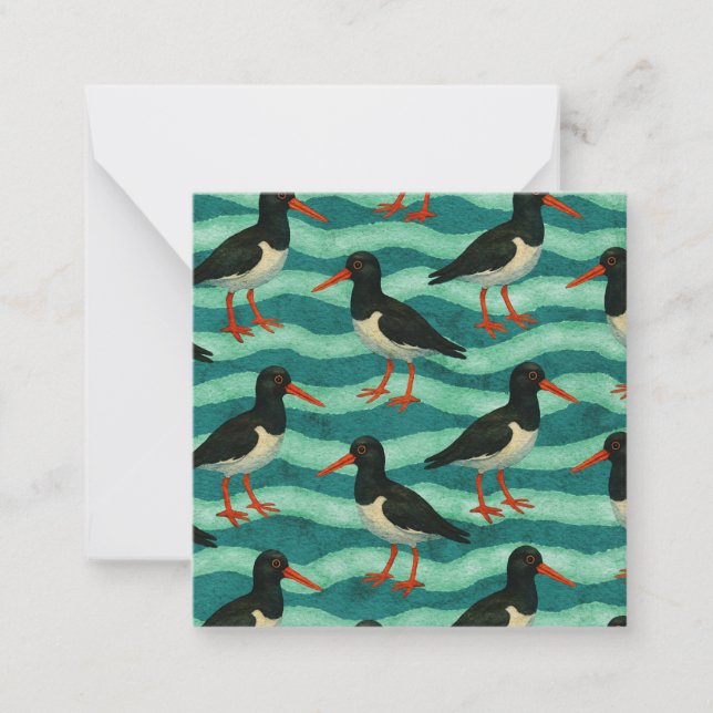 Eye Catching Oyster Catcher Post-card Style Note Card (Front)