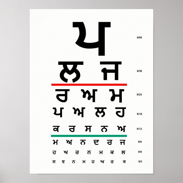Eye Chart Punjabi (Front)