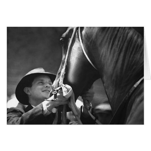 Eye Contact (Front Horizontal)