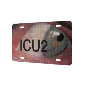 eye cu license plate