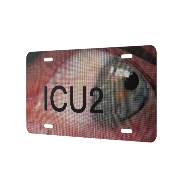 eye cu license plate (Left)