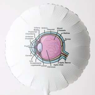 Eye Diagram Balloon