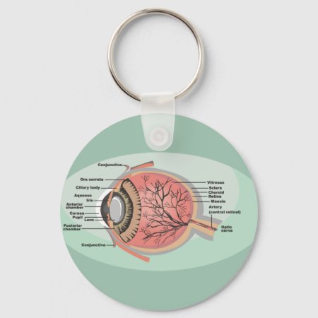 Eye Diagram For National Eye Care Month Keychain
