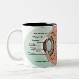 Eye Diagram for National Eye Care Month Two-Tone Coffee Mug