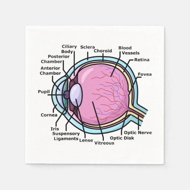 Eye Diagram Napkins (Front)