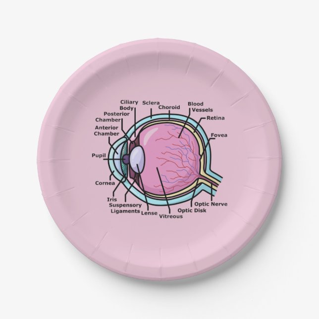 Eye Diagram Paper Plates (Front)