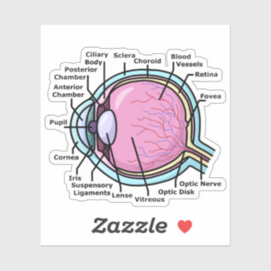 Eye Diagram Sticker