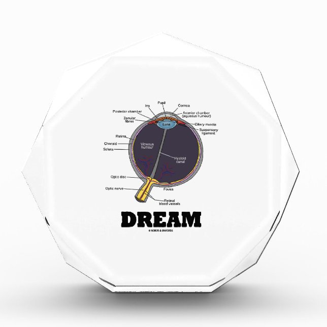 Eye Dream Anatomical Human Eyeball Humor Award (Front)