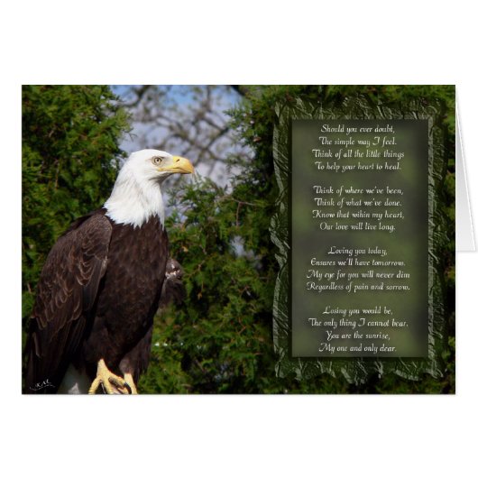 Eye For You Cards (Front Horizontal)