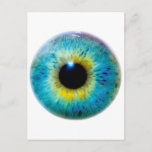 Eye I Postcard