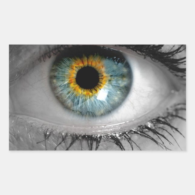 Eye looks to viewer concept macro rectangular sticker (Front)