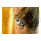 Eye Love You (Front Horizontal)