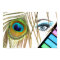 Eye Makeup Beauty Poster