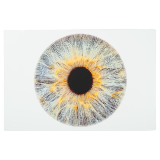 Eye Metal Print (Front)