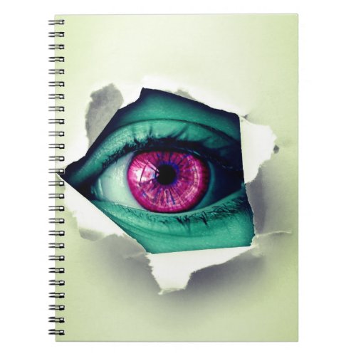 Eye Notebook