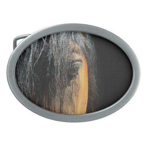 Eye of a Bay Horse Equine Photography Belt Buckle