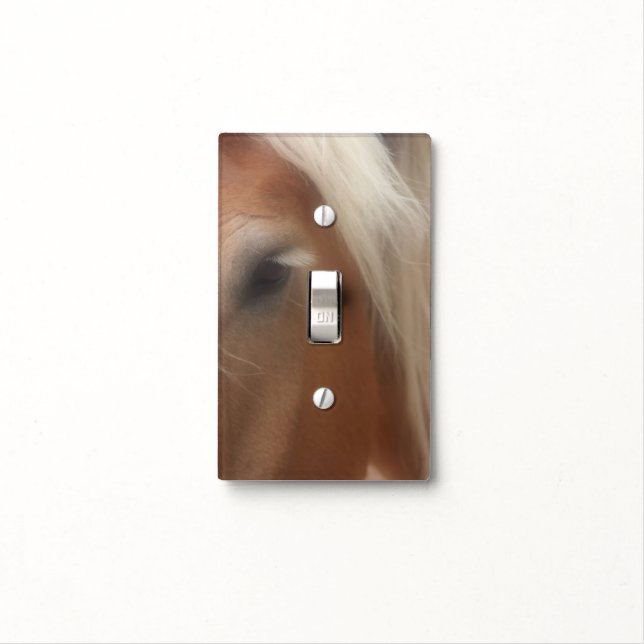 Eye Of A Belgian Draft Horse Animal Light Switch Cover (In Situ)