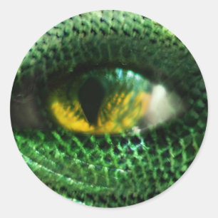 Eye of a.. classic round sticker