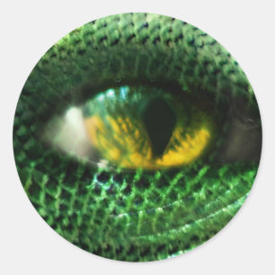 Eye of a.. classic round sticker