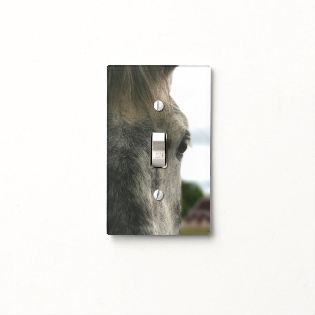 Eye Of A Dapple Gray Horse Animal Light Switch Cover (In Situ)