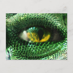 Eye of a.. postcard