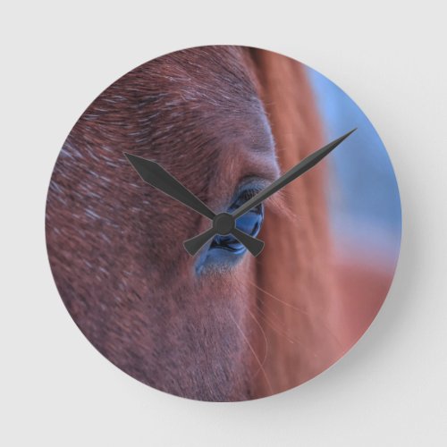Eye of Chestnut Horse Equine Photo 2 Round Clock