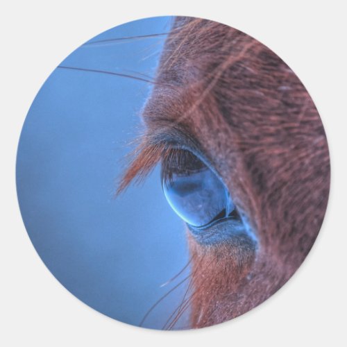 Eye of Chestnut Horse Equine Photo Classic Round Sticker