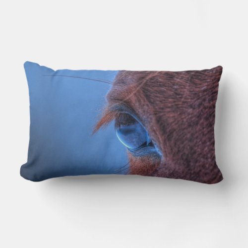 Eye of Chestnut Horse Equine Photo Lumbar Pillow