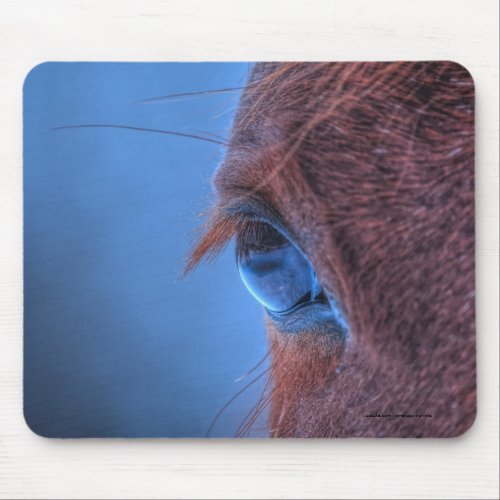 Eye of Chestnut Horse Equine Photo Mouse Pad