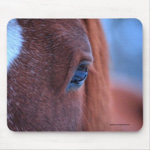 Eye of Chestnut Horse Equine Photo Mouse Pad