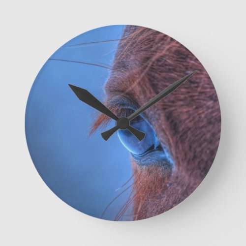 Eye of Chestnut Horse Equine Photo Round Clock