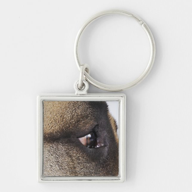 Eye of Great Dane Keychain (Front)
