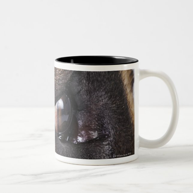 Eye of Great Dane Two-Tone Coffee Mug (Right)